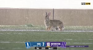 Saturday Morning, 3:00 AM Open Thread