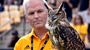 Tuesday CUSA-Day: Boldly Counterprogramming the World Series