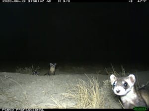 FRIDAY January 30 Links and Banter