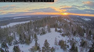 Thursday January 15 Links and Banter