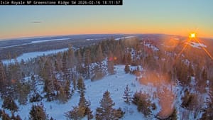 Tuesday February 17 Links and Banter