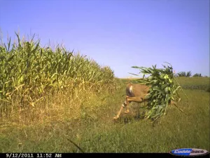 Tuesday March 24 Links and Banter