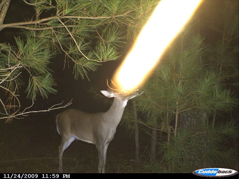 Thursday January 29 Links and Banter