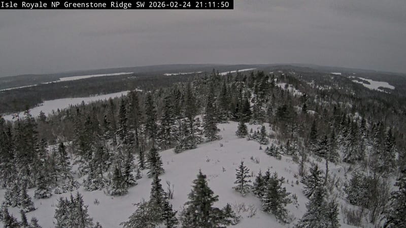 Wednesday February 25 Links and Banter