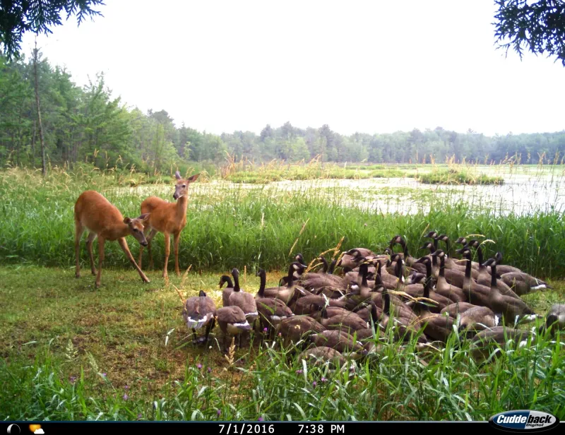 Wednesday March 11 Links and Banter