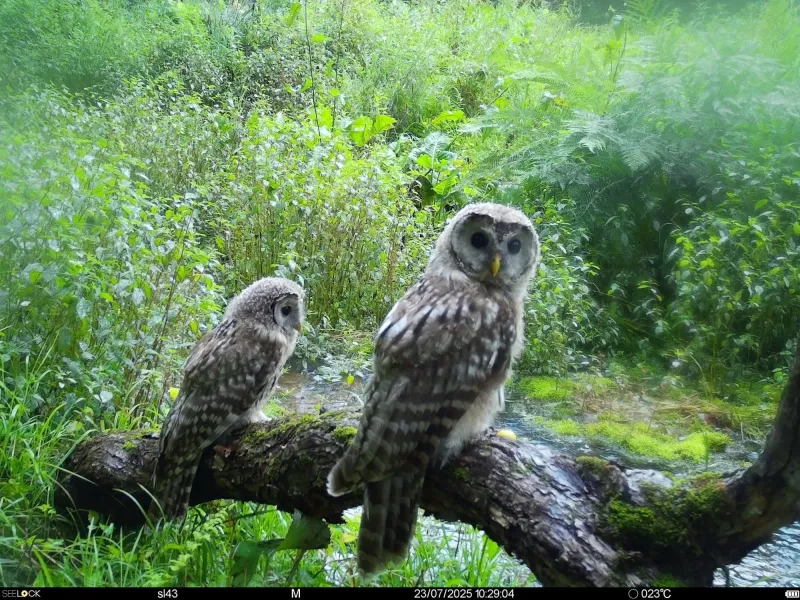 Wednesday March 18th Links and Banter