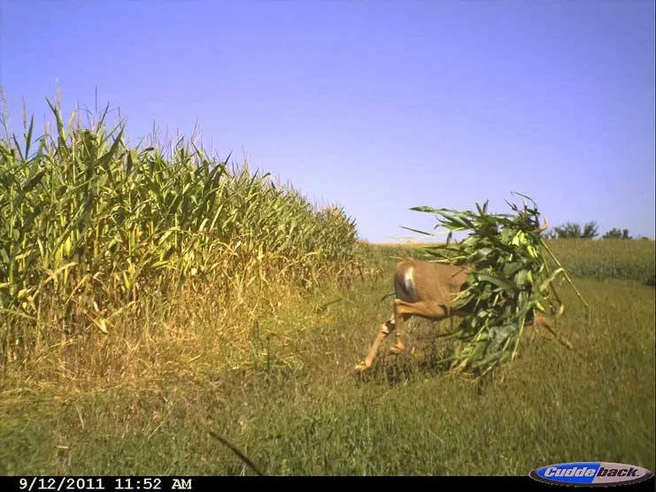 Tuesday March 24 Links and Banter