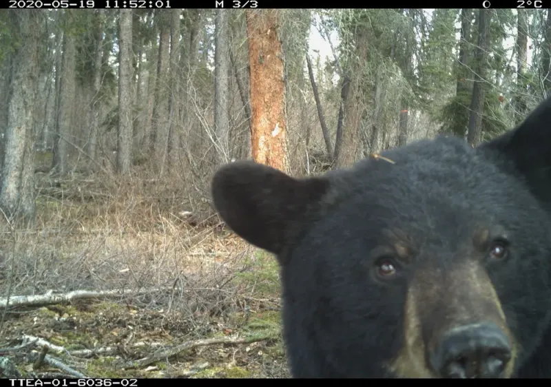 FRIDAY April 10 Links and Banter